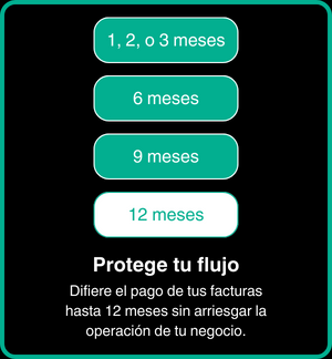 Cuadros Flex