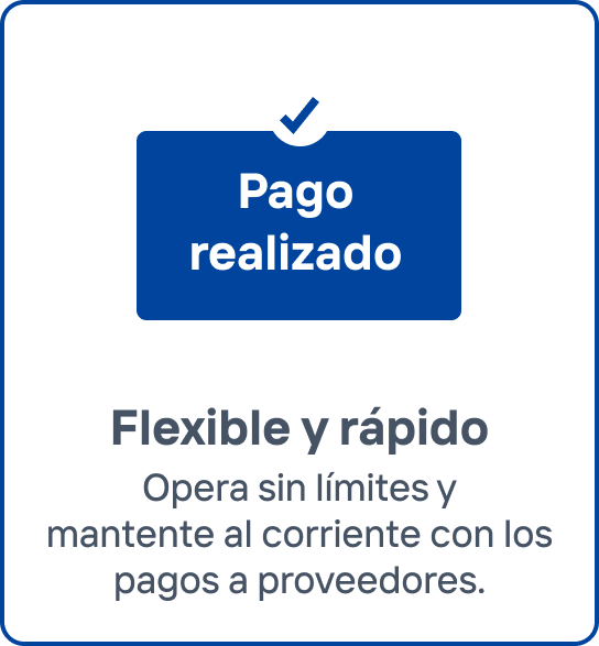 kapital_pago realizado-1